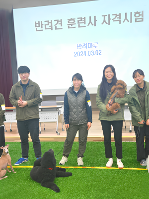 직업교육